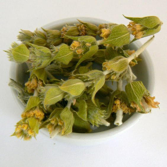 Csodaszer: a görög hegyi tea